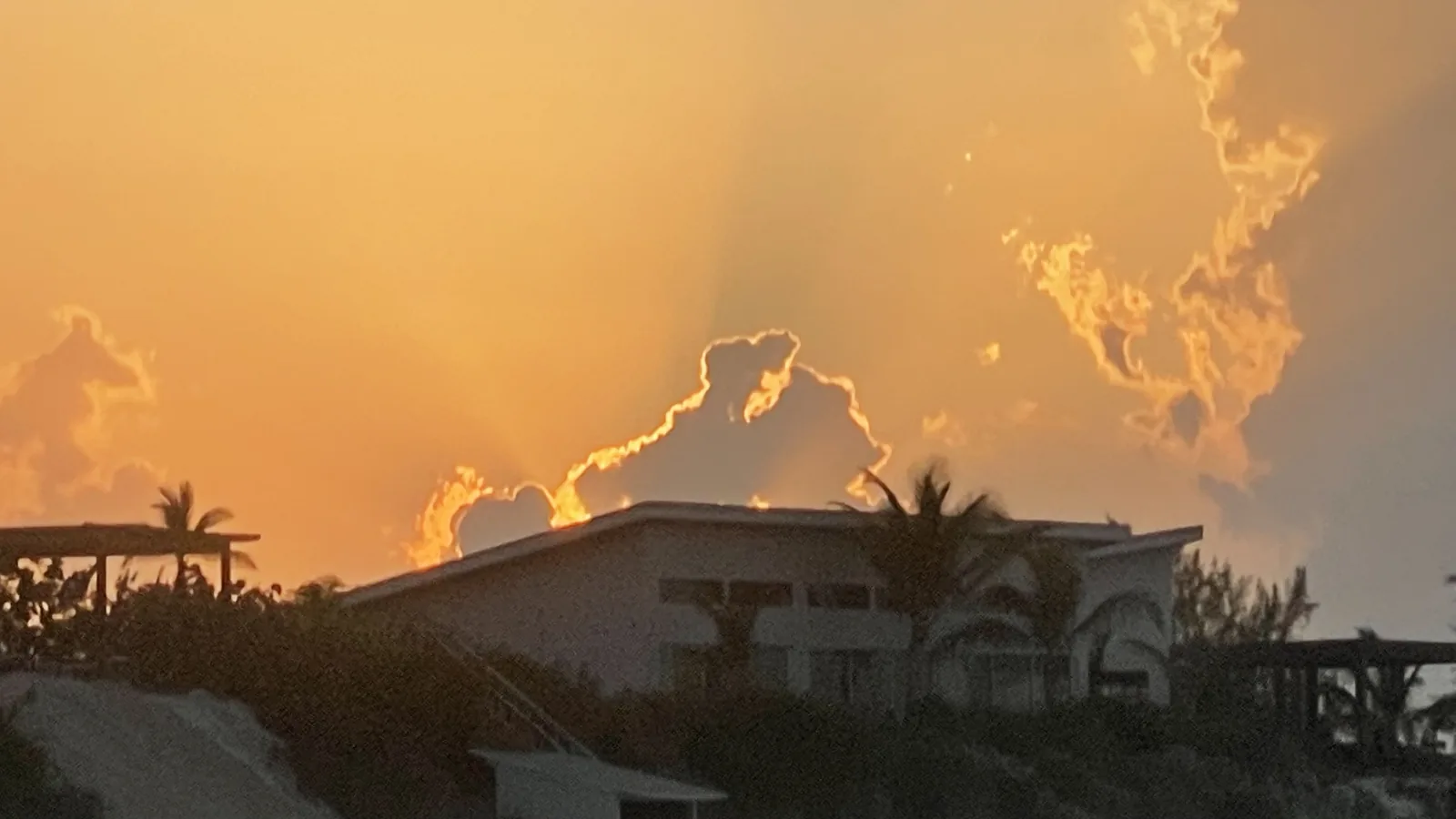 Sunset over the Gulf with palm silhouette
