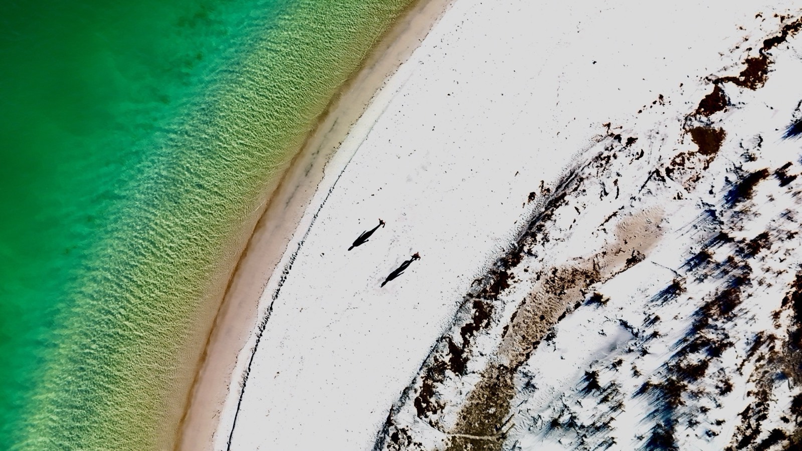 Aerial of a couple on an emerald sandbar, Emerald Coast